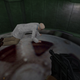 Illustration for article titled Modern Games Could Learn A Lot From The Best Level In emHalf-Life/em